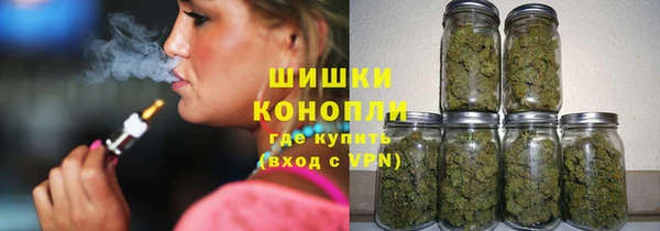 хмурый Верея
