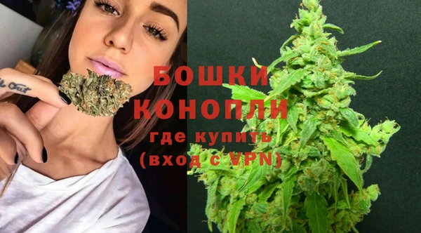 крисы Володарск