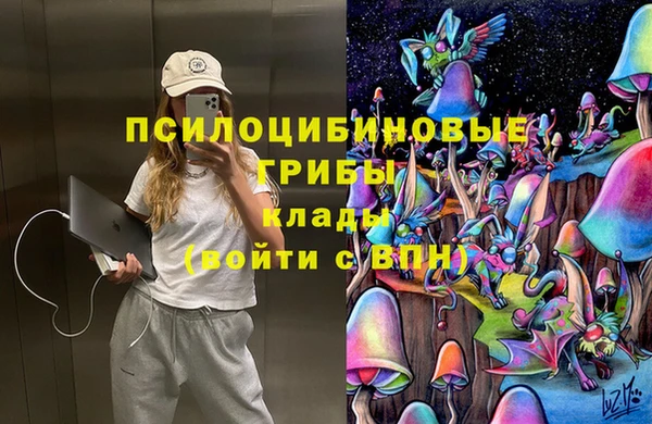 хмурый Верея