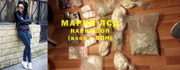 хмурый Верея