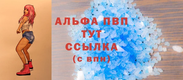 хмурый Верея