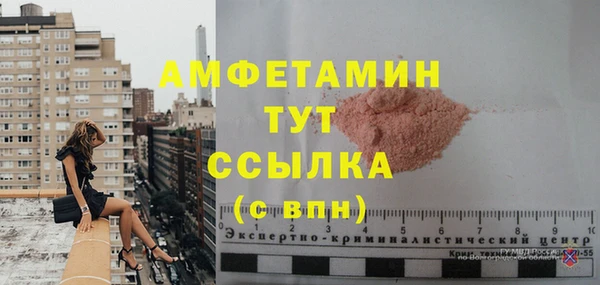 хмурый Верея