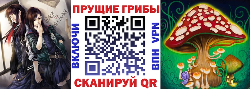 Купить где  Кропоткин  Галлюциногенные грибы ЛСД 