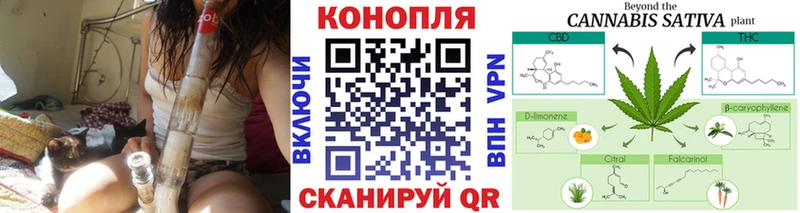Конопля Bruce Banner  Купить где  Кропоткин 
